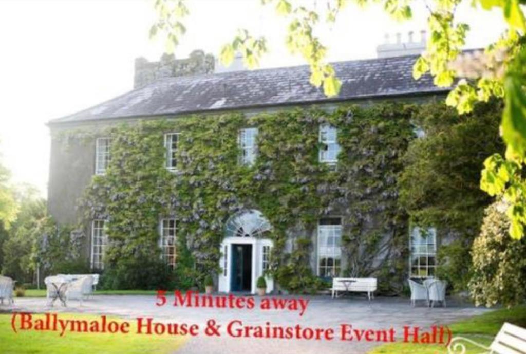 Ashlee Lodge, Shanagarry P25K6R6 Near Ballymaloe House & Garryvoe Hotel Eksteriør billede