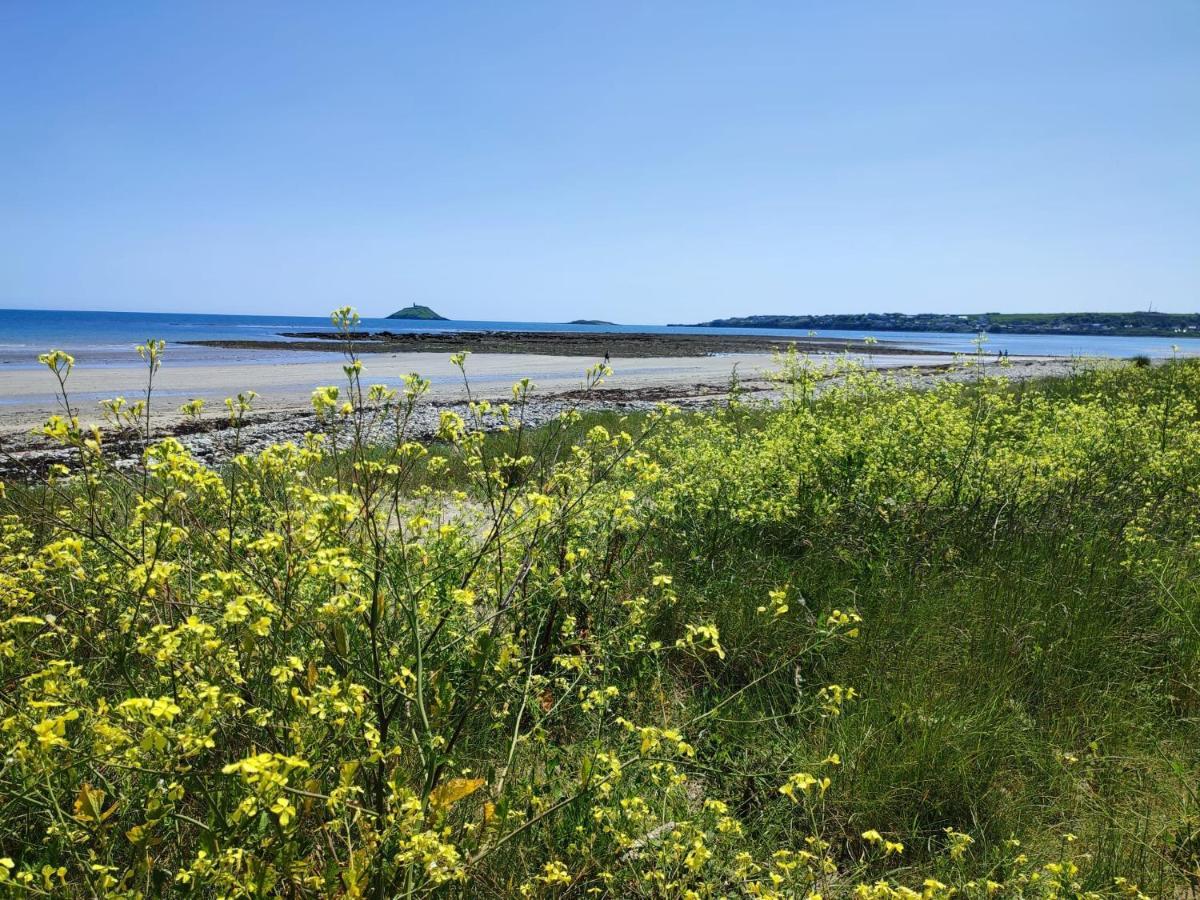 Ashlee Lodge, Shanagarry P25K6R6 Near Ballymaloe House & Garryvoe Hotel Eksteriør billede